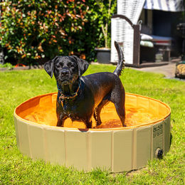 Produktbild von alsa-brand Hundepool grün waterproof 120 x 30 cm