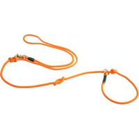 Produktbild von alsa-brand Retriever-Führleine Orange-Tannengrün 2 m Länge - 2 m