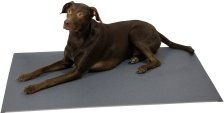 Produktbild von alsa-brand Thermoliegematte Warm & Healthy Hundematte Grau 120 x 80 cm