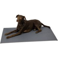 Produktbild von alsa-brand Thermoliegematte Warm & Healthy Hundematte Grau 120 x 80 cm