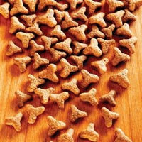 Produktbild von alsa-nature Basic Trockenfutter Geflügel und Lachs für erwachsene Katzen 4 x 1,5 kg - 4 x 1,5 kg
