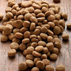 Produktbild von alsa-nature Big-Junior Medial Protein Trockenfutter für große Hunde mit Geflügel glutenfrei 12 kg - 12 kg