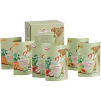 Produktbild von alsa-nature FOODLOVE Hundefutter Nassfutter Multipack mit Quinoa Stückchen in Sauce getreidefrei glutenfrei 6 x 300 g - 6 x 300 g