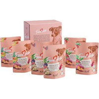 Produktbild von alsa-nature FOODLOVE Nassfutter für Hunde Amarant mit Pute Lamm und Rind getreidefrei und glutenfrei 120 x 300 g - 12 x 300 g