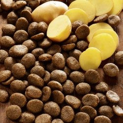 Produktbild von alsa-nature Hundefutter Hirsch & Kartoffel getreidefrei und glutenfrei Sensitive 1,5 kg - 1,5 kg