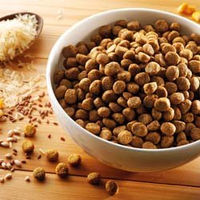 Produktbild von alsa-nature Hundefutter vegetarisch 12 kg - 12 kg