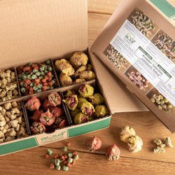 Produktbild von alsa-nature Jubiläums Knabber-Selection Hundekekse Belohnungssnack 100g - 100 g