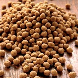 Produktbild von alsa-nature Junior Medial Protein Trockenfutter Ente Geflügel Glutenfrei Sensitive 6 kg - 6 kg