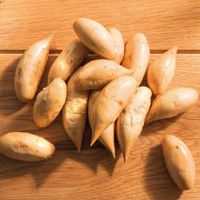 Produktbild von alsa-nature Kartoffel-Nockerln Belohnungssnack hypoallergen und sensitive ohne tierisches Protein 2 x 250 g