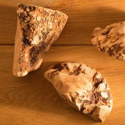 Produktbild von alsa-nature Kauwurzel Zahnpflege-Snack für Hunde vegan und ohne tierisches Protein