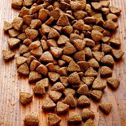 Produktbild von alsa-nature Strauß Single-Protein Trockenfutter für Hunde hypoallergen 1,5 kg - 1,5 kg
