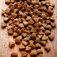 Produktbild von alsa-nature Strauß Single-Protein Trockenfutter für Hunde hypoallergen 1,5 kg - 1,5 kg