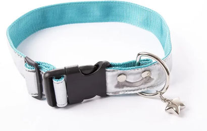 Produktbild von Alter Ego Hundehalsband New Disco Türkis aus Polyester 40/40-64 cm