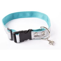 Produktbild von Alter Ego Hundehalsband New Disco Türkis aus Polyester 40/40-64 cm