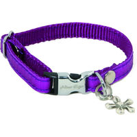 Produktbild von Alter Ego Hundehalsband XS aus Nylon in Lila für erwachsene Hunde