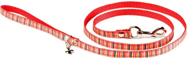Produktbild von Alter Ego Hundeleine Rainbow Bunt mit Gurtband für alle Altersstufen