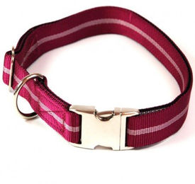 Alu-Max Hundehalsband aus Nylon in Lila mit Wasserabweisender Eigenschaft – Bild 1 von 1