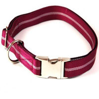 Produktbild von Alu-Max Hundehalsband aus Nylon in Lila mit Zugentlastung und wasserabweisender Oberfläche