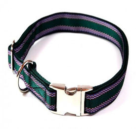 Alu-Max Hundehalsband aus wasserabweisendem Nylon in Grün – Bild 1 von 1