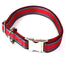 Produktbild von Alu-Max Hundehalsband aus wasserabweisendem Nylon in Rot mit Muster 45-70cm 25mm