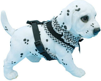 Alvonja Hundegeschirr und Hundemantel Vichy Karo Bunt für kleine und mittlere Hunde Größe S – Bild 1 von 4