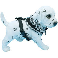 Produktbild von Alvonja Hundegeschirr und Hundemantel Vichy Karo Bunt für kleine und mittlere Hunde Größe S