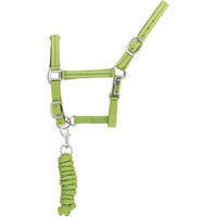 Produktbild von Amahorse Reflektierendes Nylon-Halfter mit Leine für Pferde Größe Full Farbe Grün