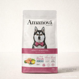 Amanova Getreidefreies Hundefutter für Erwachsene mit Lachs Hypoallergen 10 kg – Bild 1 von 1