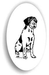 Produktbild von Amberdog Aufkleber Deutsch Drahthaar Sticker