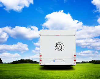 Produktbild von Amberdog Aufkleber Rauhaardackel Dackel Kopf für Auto und Wohnmobil Wandtattoo Weiß 50cm