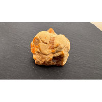 Produktbild von Amberdog Baltischer Natur Bernstein Rohbernstein 12,1g