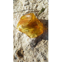 Produktbild von Amberdog Bernstein Amulett