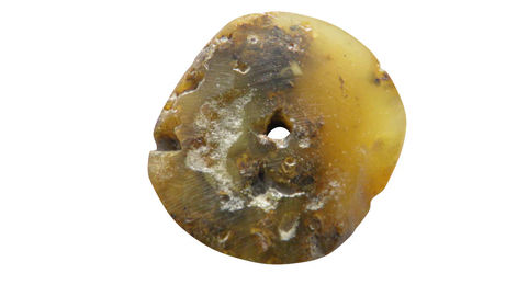 Produktbild von Amberdog Bernsteinanhänger Mühlenstein Knopf mit Echtheitszertifikat