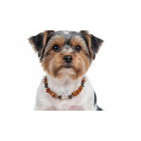 Produktbild von Amberdog Bernsteinkette für Hunde mit Rauchquarz 30cm