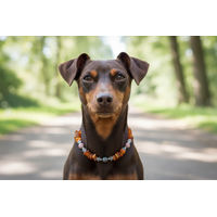 Produktbild von Amberdog Bernsteinkette für Hunde mit Rhodonit und Bergkristall 28cm