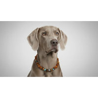 Produktbild von Amberdog Bernsteinkette für Hunde mit Tigerauge aus Naturmaterial 42cm