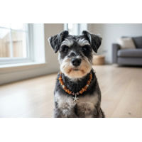 Produktbild von Amberdog Bernsteinkette mit Jaspis für Hunde in Braun Gelb und Silber Länge 33cm