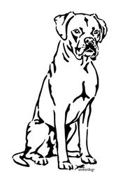 Amberdog Boxer Grafiklizenz – Bild 1 von 1