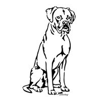 Produktbild von Amberdog Boxer Grafiklizenz