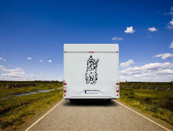 Produktbild von Amberdog Cairn Terrier Wohnmobil Aufkleber Wandtattoo Weiß 50cm