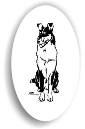 Produktbild von Amberdog Collie Kurzhaar Aufkleber Sticker
