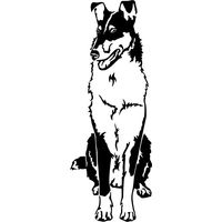 Produktbild von Amberdog Collie Kurzhaar Grafiklizenz