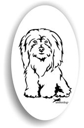 Produktbild von Amberdog Coton de Tulear Sticker Aufkleber