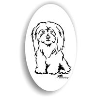 Produktbild von Amberdog Coton de Tulear Sticker Aufkleber