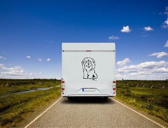 Produktbild von Amberdog Coton de Tulear Wandtattoo Aufkleber für Auto und Wohnmobil Schwarz 50cm