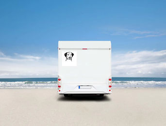 Produktbild von Amberdog Dalmatiner Kopf Wandtattoo Aufkleber für Auto und Wohnmobil Weiß 30cm
