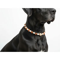 Produktbild von Amberdog EM Keramik Halsband für Hunde in Braun Natur 45-55cm