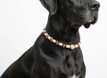 Produktbild von Amberdog EM Keramik Halsband für Hunde in Braun Natur 55-65cm