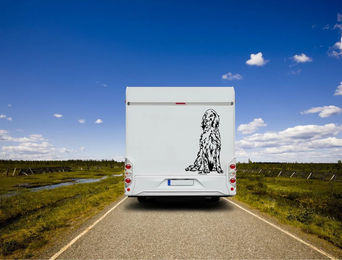 Produktbild von Amberdog English Setter Wandtattoo Wohnmobil Aufkleber Schwarz 50cm