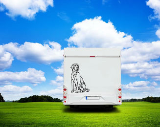 Produktbild von Amberdog Fila Brasileiro Wandtattoo Wohnmobil Aufkleber Weiß 50cm